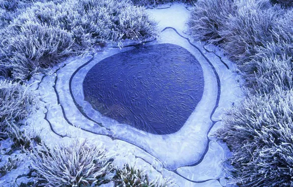 Winter, lake, ice, Tasmania, the Cradle mountain