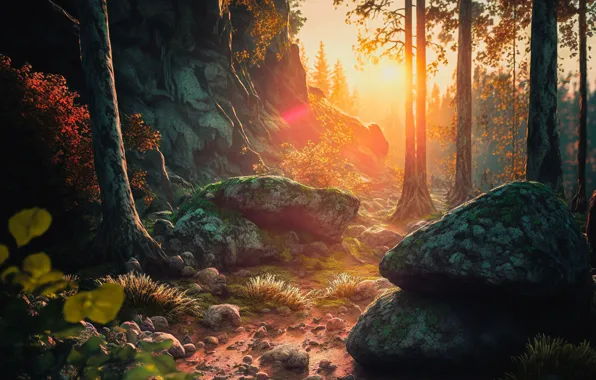 Autumn, forest, the sun, rays, light, trees, landscape, nature