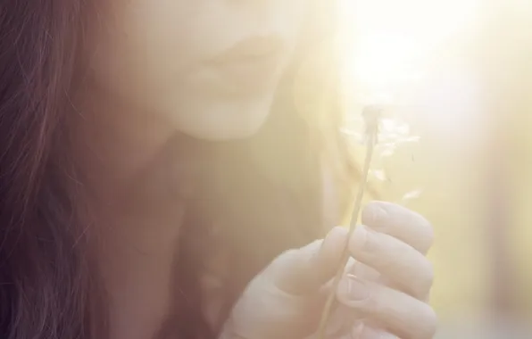 Girl, light, mood, dandelion