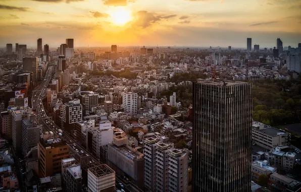 Picture sunset, the city, Tokyo