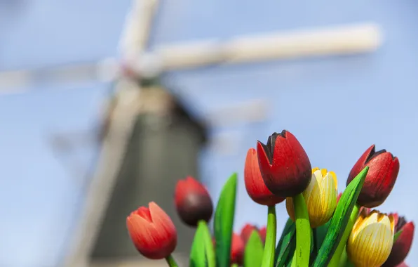 Bouquet, focus, yellow, mill, tulips, red, wooden