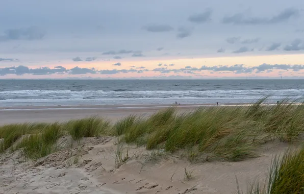 Picture sea, sunset, dunes