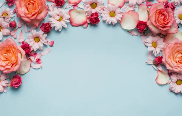 Flowers, roses, chamomile, pink, fresh, wood, pink, flowers