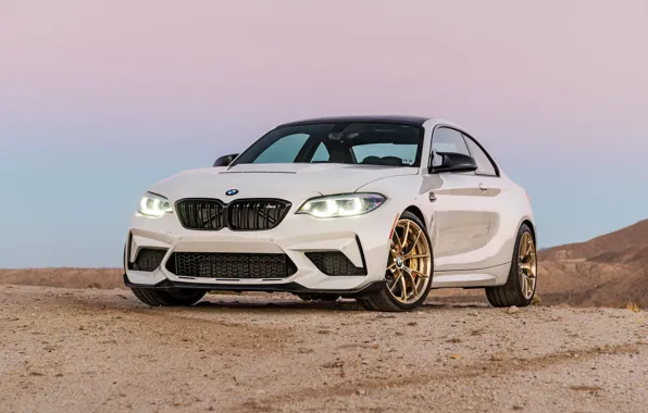 Coupe, BMW, Michelin, M Sport, M2 CS, extreme version