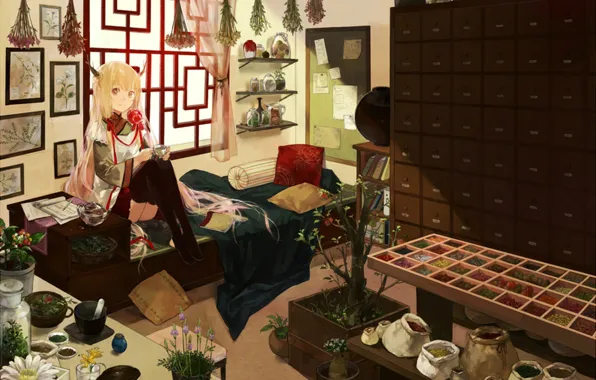 Flowers, room, plants, stockings, window, girl, pictures, dishes
