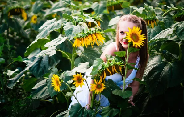 Field, summer, look, leaves, girl, sunflowers, flowers, pose