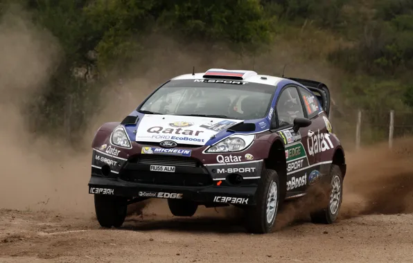 Ford, rally, Argentina, wrc, fiesta, 2013, E.Novikov