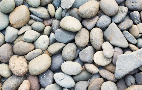 Picture beach, pebbles, stones, background, white, white, beach, texture
