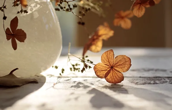 Picture light, vase, the dried flowers