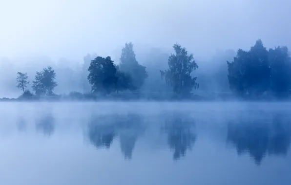 Trees, fog, lake, morning, twilight