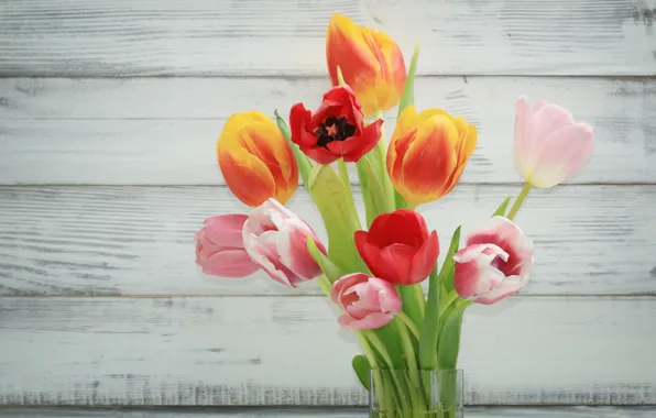 Picture flowers, colorful, tulips, fresh, wood, flowers, beautiful, tulips