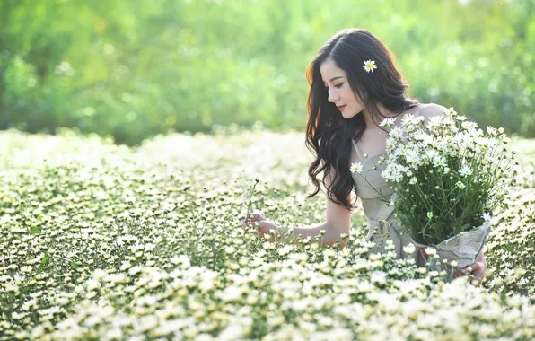 Picture field, summer, girl, flowers, Asian