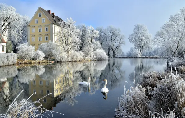 Picture winter, frost, trees, birds, pond, reflection, castle, Germany