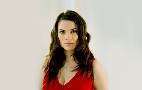 Actress, brunette, Hayley Atwell, Hayley Atwell