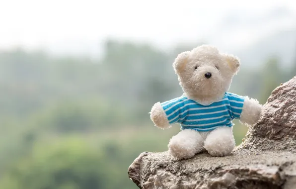 Picture love, toy, bear, love, bear, romantic, teddy, cute