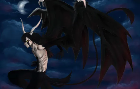 Picture look, wings, the demon, indifference, guy, Bleach, Bleach, art