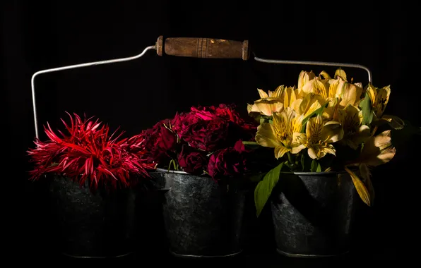 Macro, flowers, background