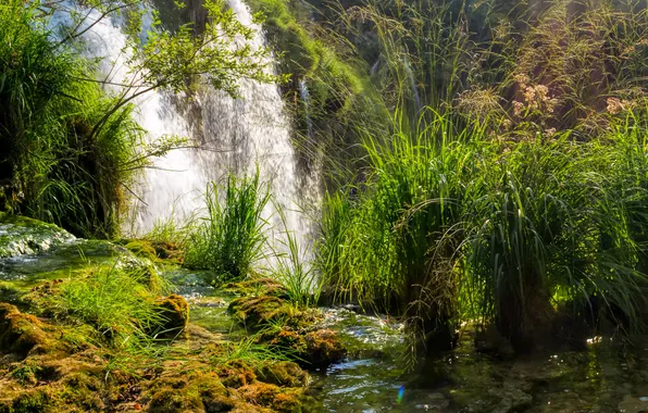 Picture grass, waterfall, moss, Sunny, the bushes, Croatia, Plitvice National Park