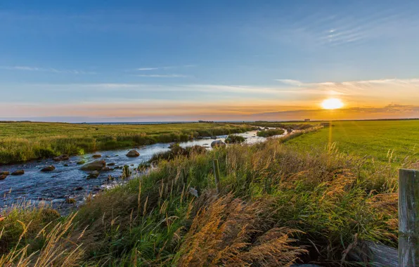 The sky, grass, the sun, shore, the fence, pond