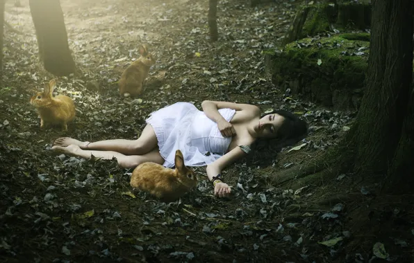 Forest, girl, rabbits