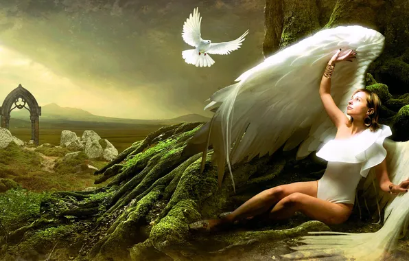 Picture Tree, Dove, Angel, Light, Wings, Fantasy, Victoria Borodinova, Photomontage