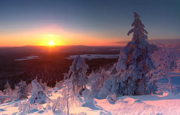 Picture winter, snow, trees, landscape, nature, dawn, morning, ate