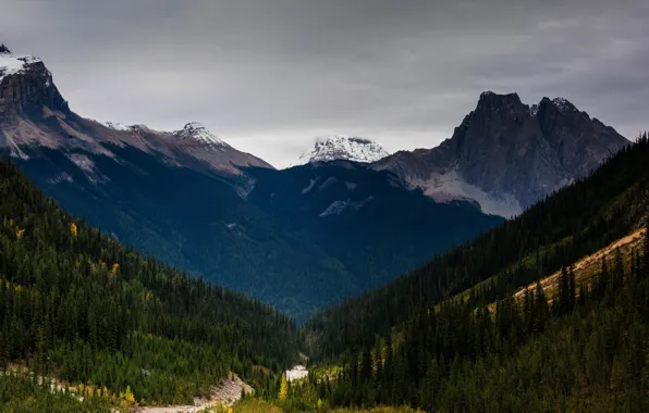 Picture forest, the sky, mountains, tops, ate, slope