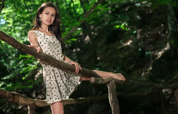 White, forest, black, trees, nature, Mila, outside, hillside
