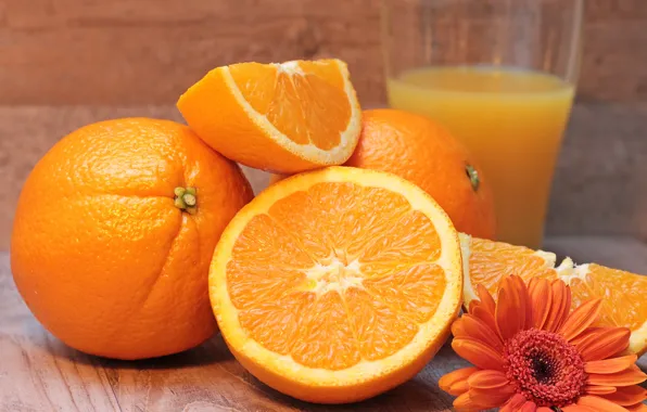 Orange, oranges, juice, drink, wood, slices, fresh, gerbera