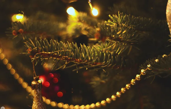 Winter, needles, holiday, balls, tree, new year, balls, winter