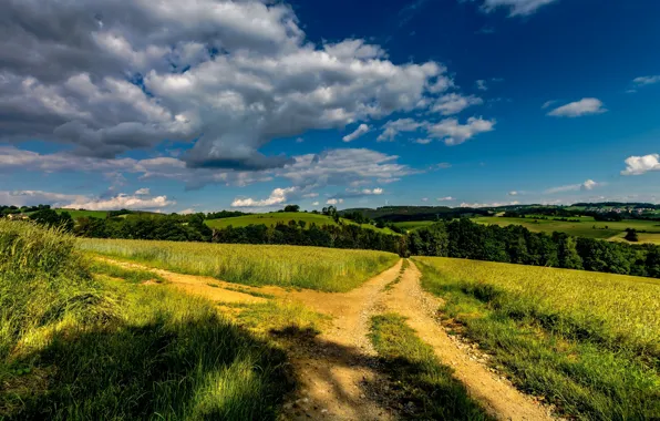 Road, field, forest, summer, the sky, grass, clouds, light