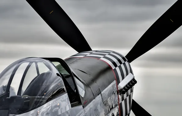 Aviation, fighter, cabin, propeller
