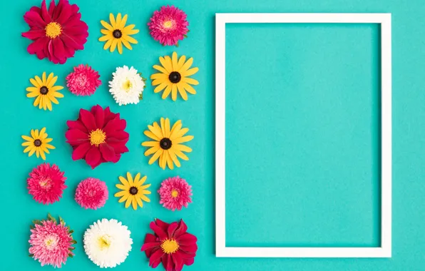 Flowers, background, holiday, blue, color, frame, yellow, red