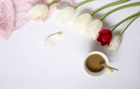 Picture flowers, tulips, red, white, white, wood, flowers, cup