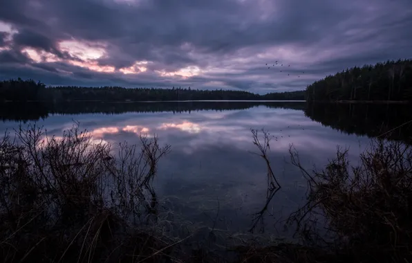 Picture the sky, clouds, lake, reflection, the evening