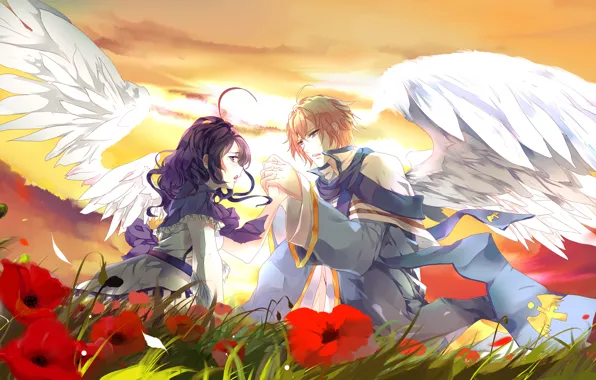 Girl, sunset, flowers, glade, wings, guy, Two, lovers