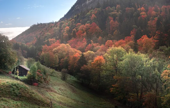 Autumn, Trees, Mountain, House, House, Hill, Mountain, Autumn
