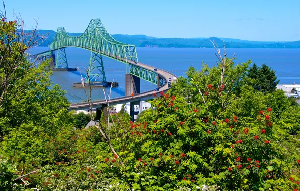 Picture the sky, flowers, mountains, bridge, river, tree, shore, car