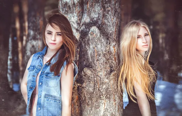 Forest, look, girl, trees, sweetheart, brunette, blonde, girl