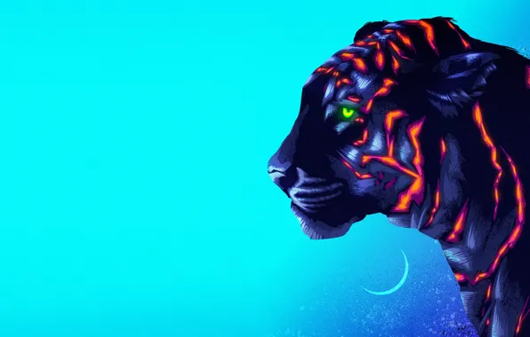 Figure, Cat, Tiger, Background, Art, Neon, James White, Synth