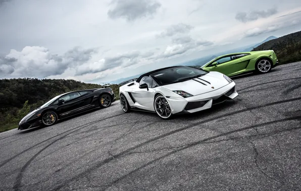 Green, Lamborghini, white, gallardo, black, spyder, LP570-4, superleggera