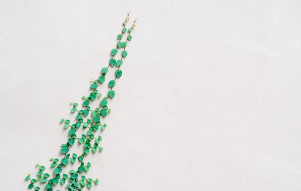 Greens, leaves, wall, texture, eel, plaster, ivy