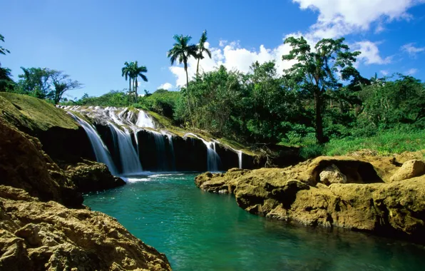 River, palm trees, waterfall