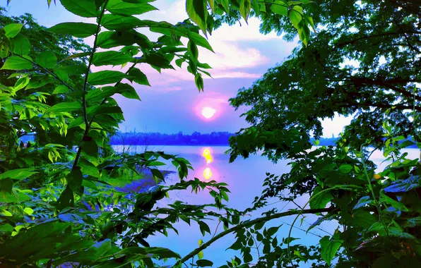 Sun, Water, Sunrise, Dawn, Morning, Lake, Trees, Reflection