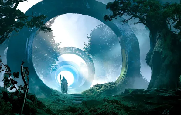 Picture trees, the portal, the gates