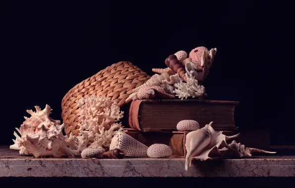 Books, hat, corals, shell, hat, books, shells, corals
