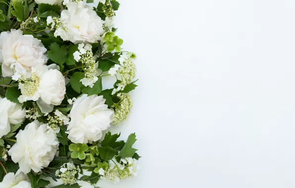 Flowers, background, bouquet, frame, Flowers, bundle