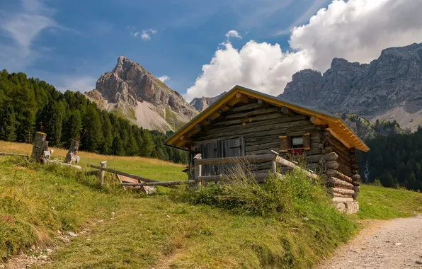 Forest, the sky, grass, the sun, clouds, trees, mountains, nature