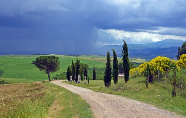 Clouds, flowers, rain, field, road, Italy, the countryside, Tuscany