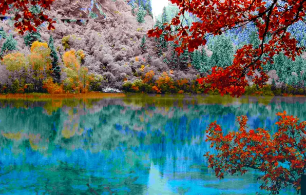 Autumn, forest, leaves, trees, lake, the crimson